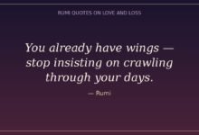 Rumi quotes on love and loss — "You already have wings, stop insisting on crawling through your days."