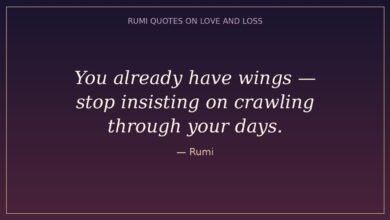 Rumi quotes on love and loss — "You already have wings, stop insisting on crawling through your days."