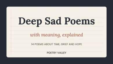 Deep sad poems with meaning, Poetry Valley