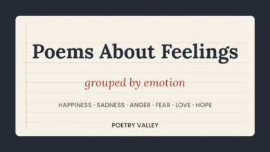 Poems about feelings and emotions, Poetry Valley