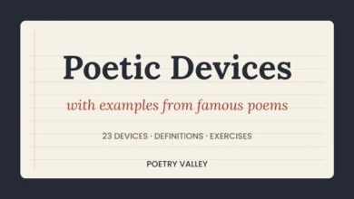 Poetic devices with examples from famous poems