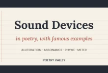 Sound devices in poetry with famous examples