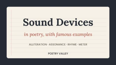Sound devices in poetry with famous examples